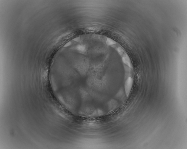 X0000113920745200910151439