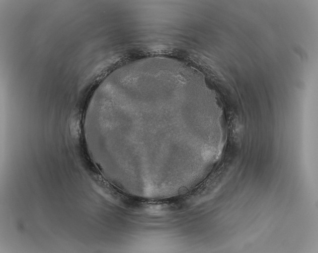 X0000113920746200910151439