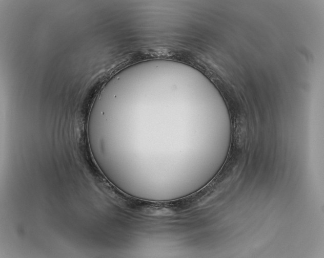 X0000113920747200910151439