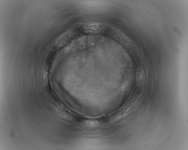 X0000113920749200910151439