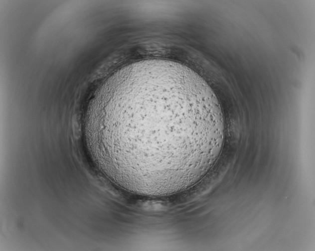 X0000113920751200910151439