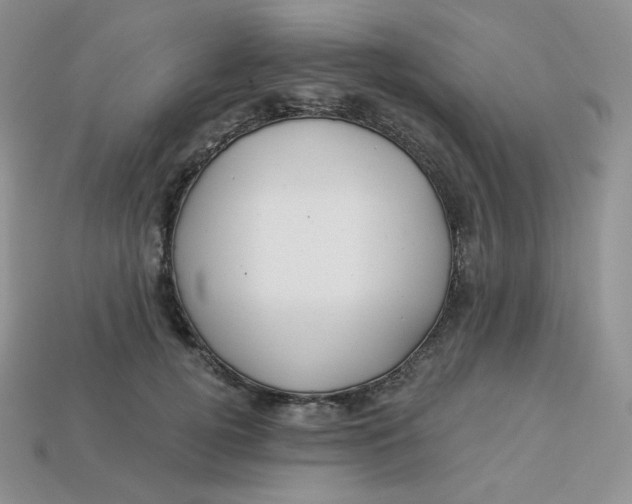 X0000113920752200910151439