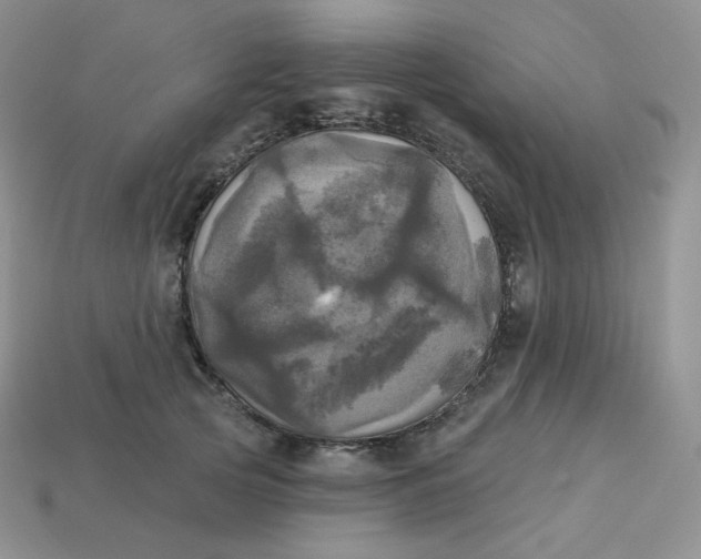 X0000113920753200910151439
