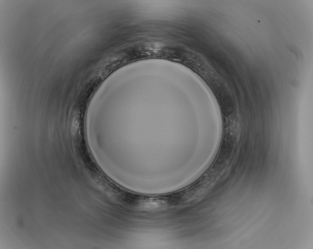 X0000113920754200910151439