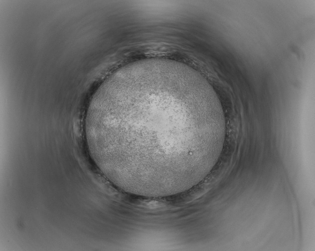 X0000113920755200910151439