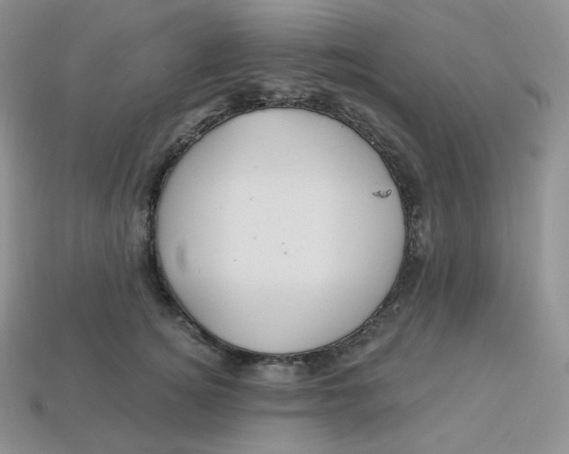 X0000113920756200910151439
