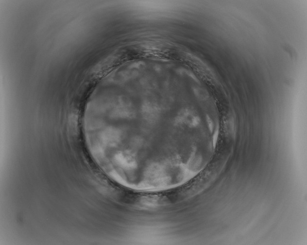 X0000113920757200910151439