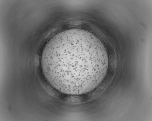 X0000113920758200910151439