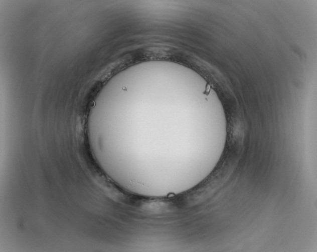 X0000113920759200910151439