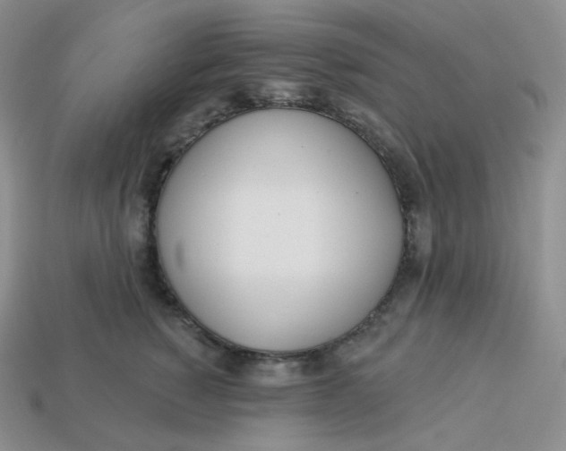 X0000113920760200910151439