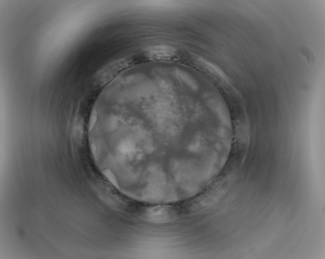 X0000113920761200910151439