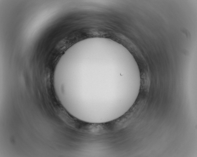 X0000113920762200910151439