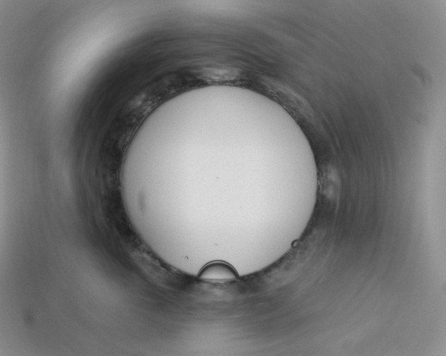 X0000113920763200910151439
