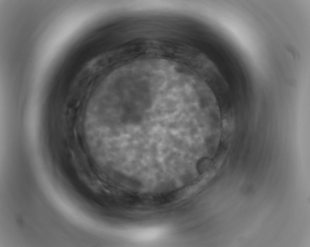 X0000113920765200910151439