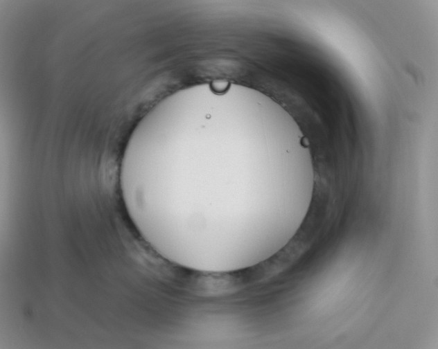 X0000113920767200910151439