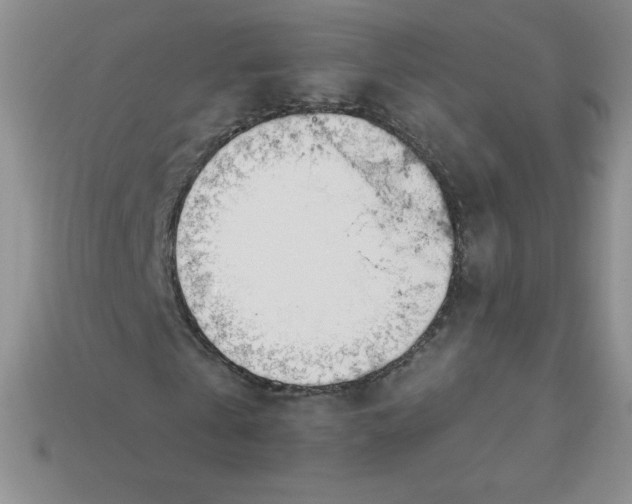 X0000113920769200910151439