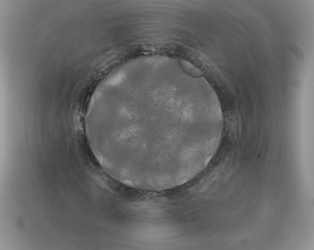 X0000113920770200910151439