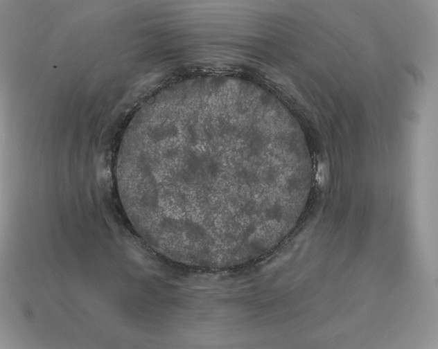 X0000113920771200910151439