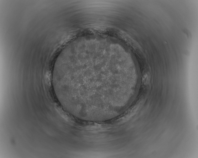 X0000113920772200910151439