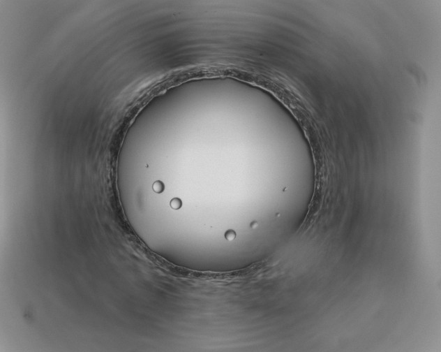 X0000113920773200910151439