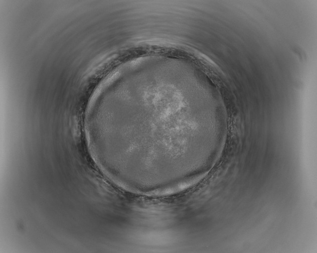 X0000113920774200910151439