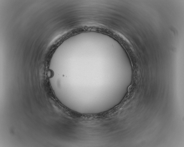 X0000113920775200910151439