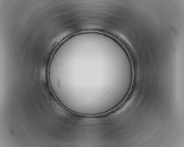 X0000113920777200910151439