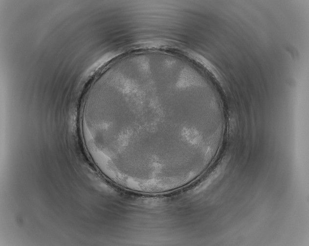 X0000113920778200910151439