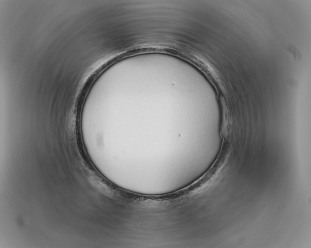 X0000113920779200910151439