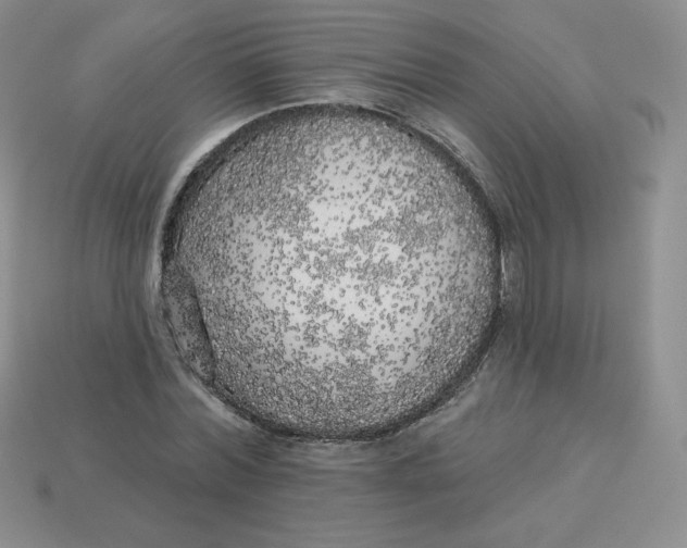 X0000113920780200910151439