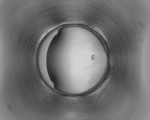 X0000113920781200910151439