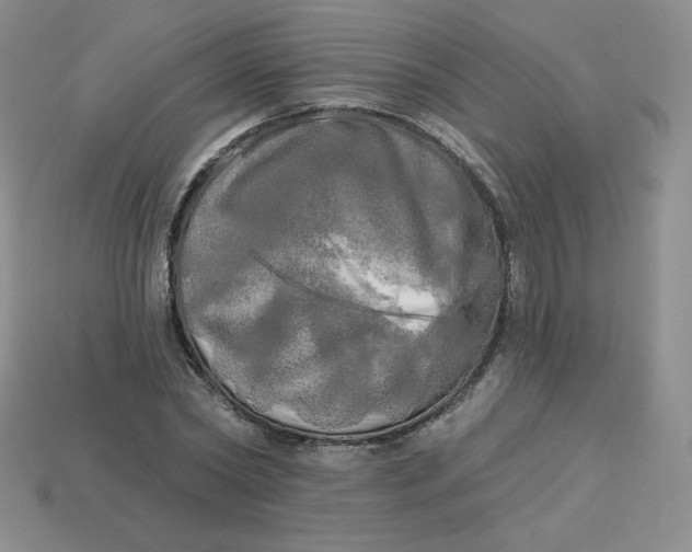 X0000113920782200910151439