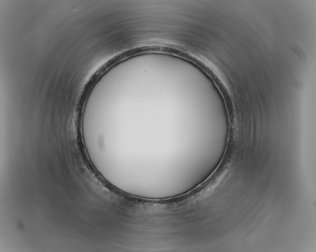 X0000113920783200910151438