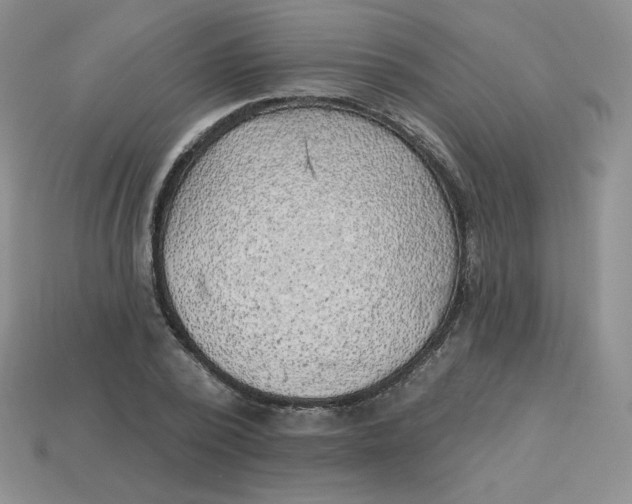 X0000113920784200910151438