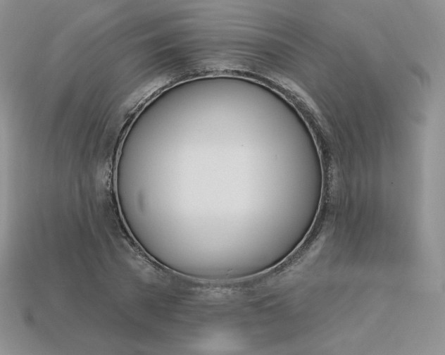 X0000113920785200910151438