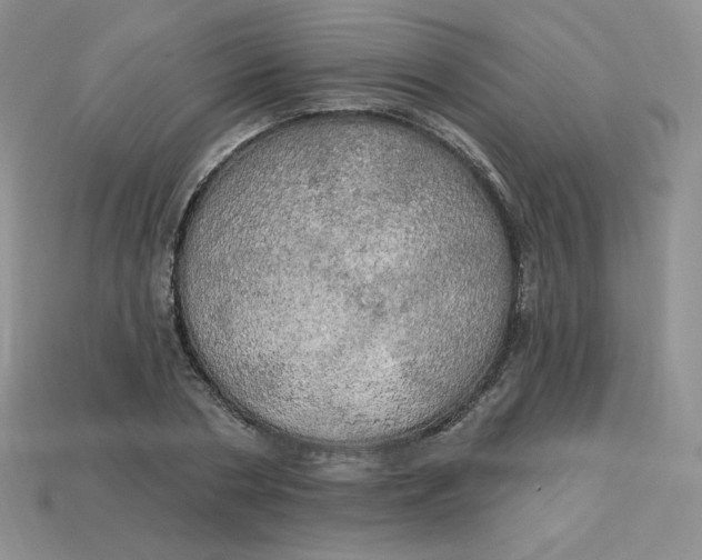 X0000113920786200910151438