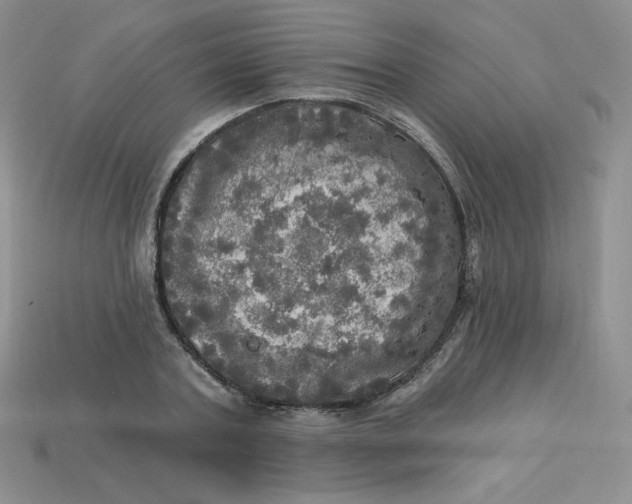 X0000113920787200910151438