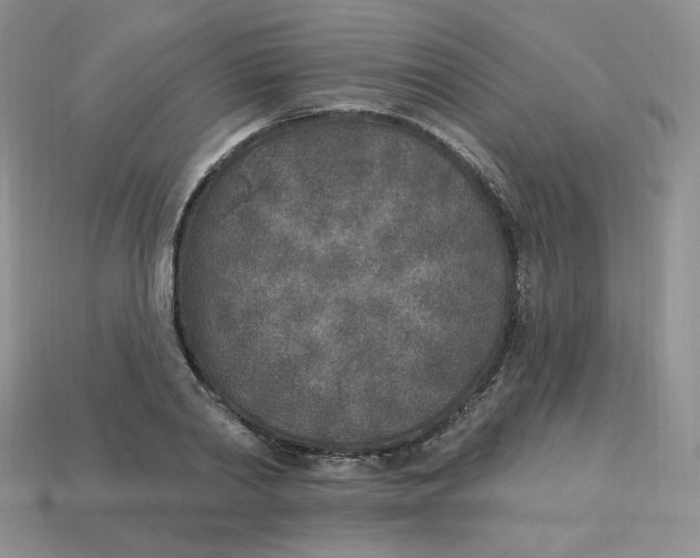 X0000113920790200910151438