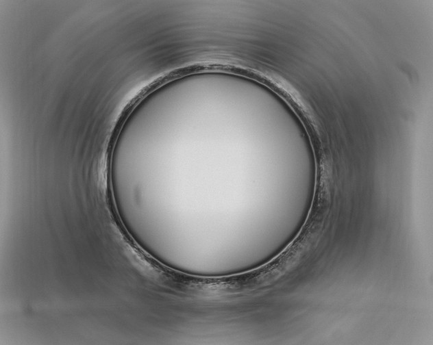 X0000113920791200910151438