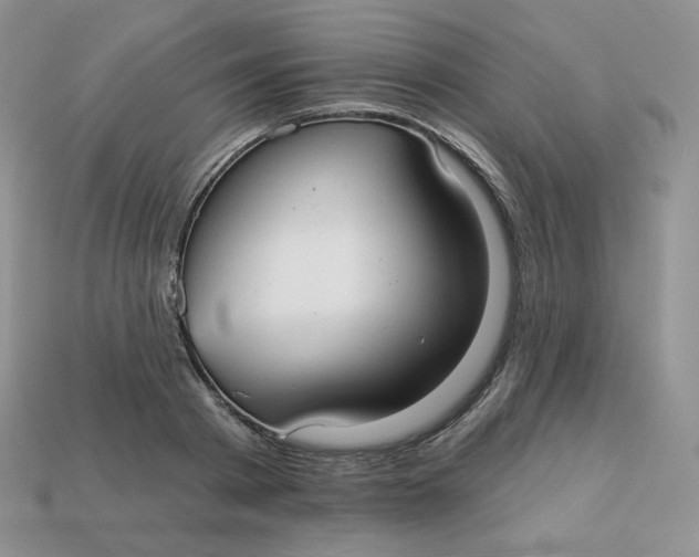 X0000113920793200910151438