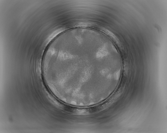 X0000113920794200910151438