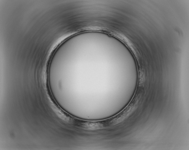 X0000113920795200910151438
