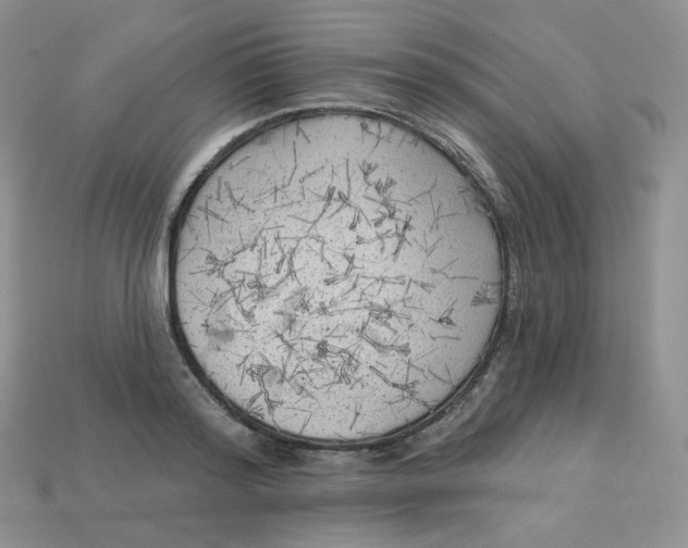 X0000113920796200910151438