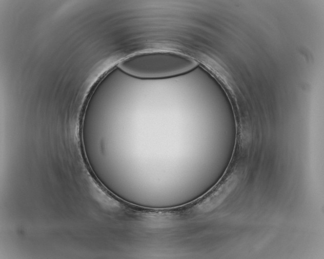 X0000113920797200910151438
