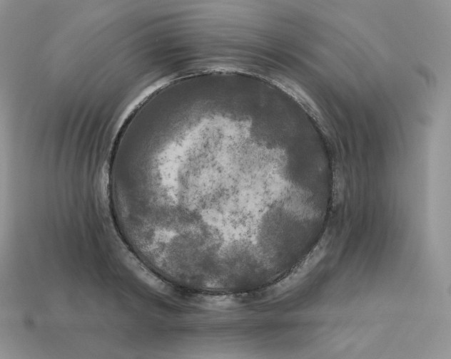 X0000113920798200910151438