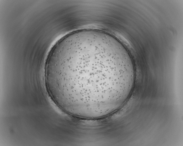 X0000113920800200910151438
