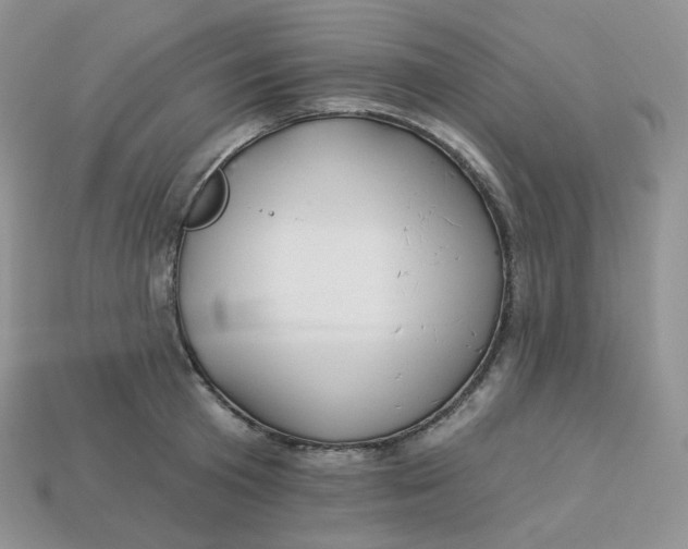 X0000113920801200910151438