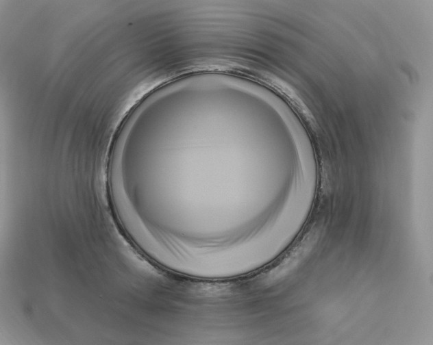 X0000113920802200910151438