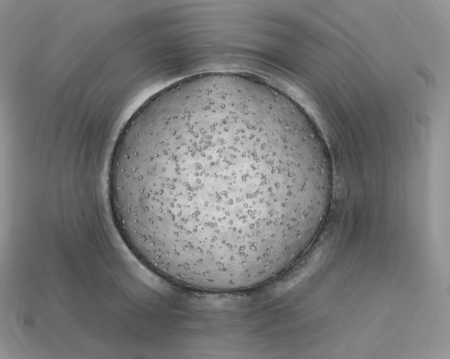 X0000113920803200910151438