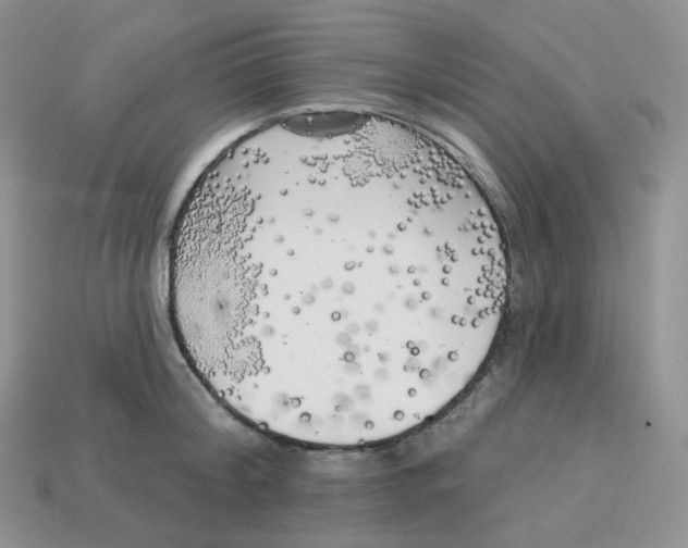 X0000113920804200910151438